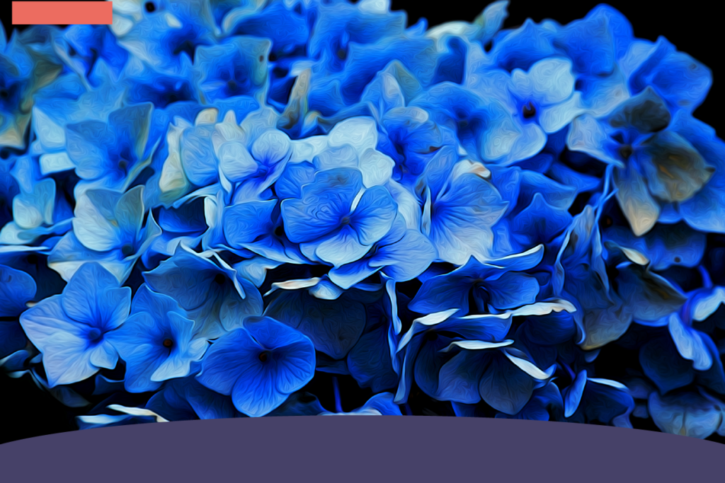 ¿Qué Nos Dicen Las Flores Azules?